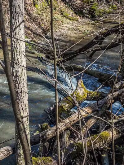 Cedar Run Trailhead - Bainbridge, OH
