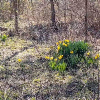 Cedar Run Trailhead - Bainbridge, OH