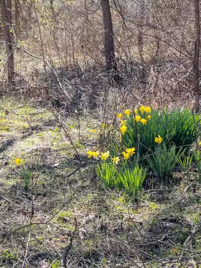 Cedar Run Trailhead - Bainbridge, OH