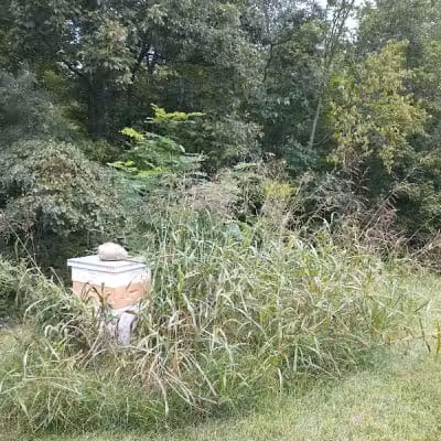 Fruitdale Farm - Bainbridge, OH