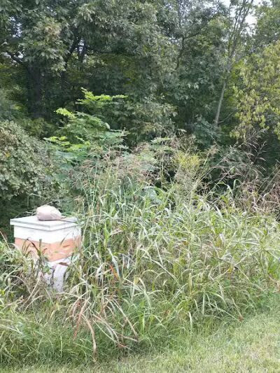 Fruitdale Farm - Bainbridge, OH