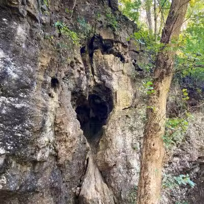 Harmony Trail - Bainbridge, OH