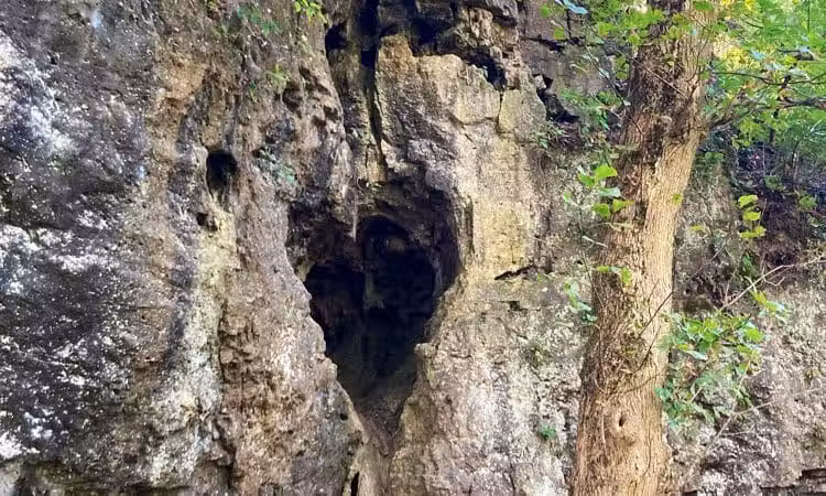 Harmony Trail - Bainbridge, OH