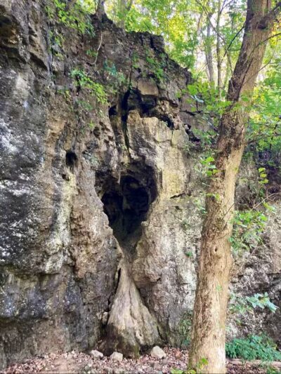 Harmony Trail - Bainbridge, OH