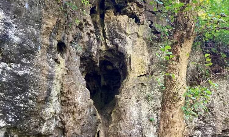 Harmony Trail - Bainbridge, OH