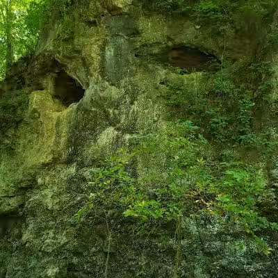 Harmony Trail - Bainbridge, OH