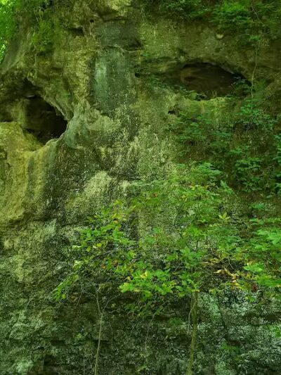 Harmony Trail - Bainbridge, OH