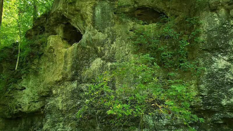 Harmony Trail - Bainbridge, OH