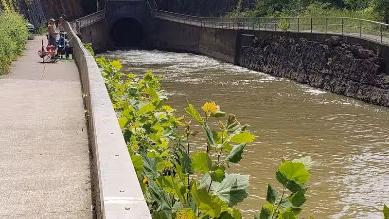 Harmony Trail - Bainbridge, OH