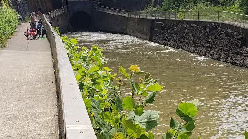 Harmony Trail - Bainbridge, OH