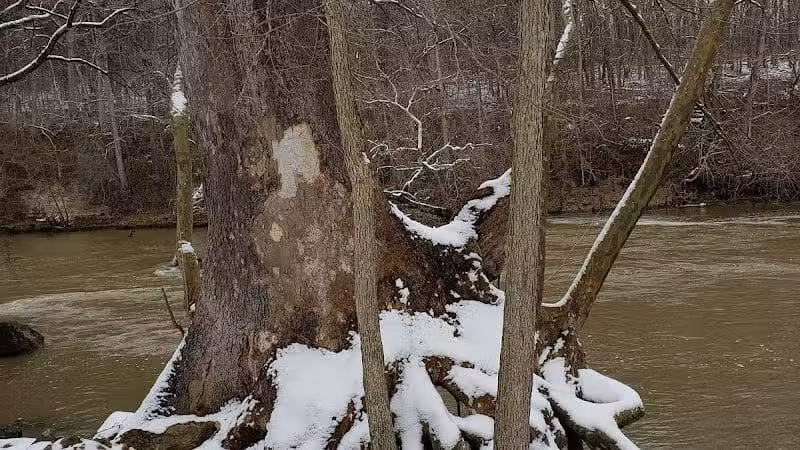 Harmony Trail - Bainbridge, OH