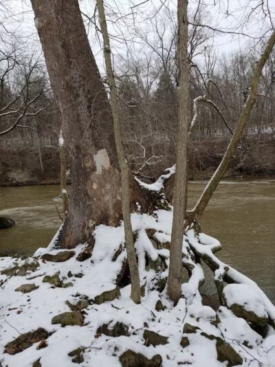 Harmony Trail - Bainbridge, OH