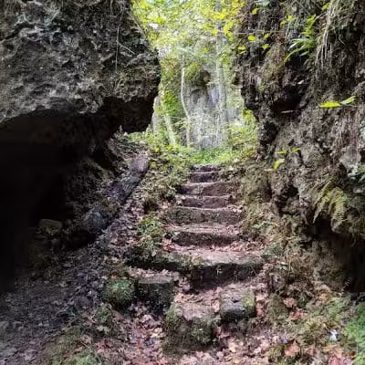 Highlands Nature Sanctuary - Bainbridge, OH