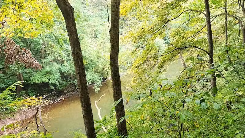 Highlands Nature Sanctuary - Bainbridge, OH