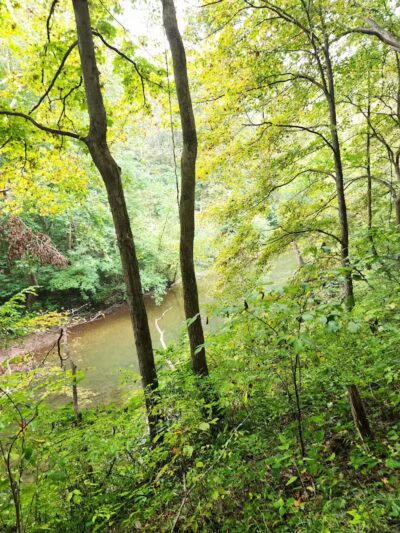Highlands Nature Sanctuary - Bainbridge, OH