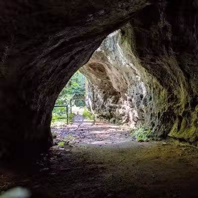 Highlands Nature Sanctuary - Bainbridge, OH