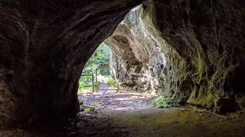 Highlands Nature Sanctuary - Bainbridge, OH