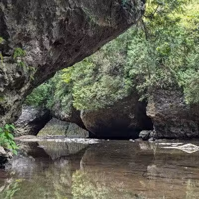 Highlands Nature Sanctuary - Bainbridge, OH