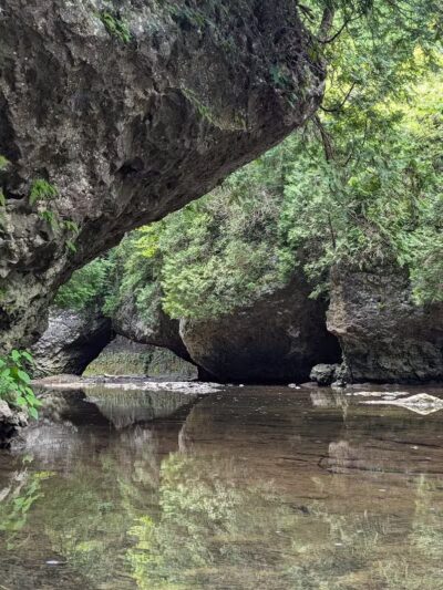 Highlands Nature Sanctuary - Bainbridge, OH