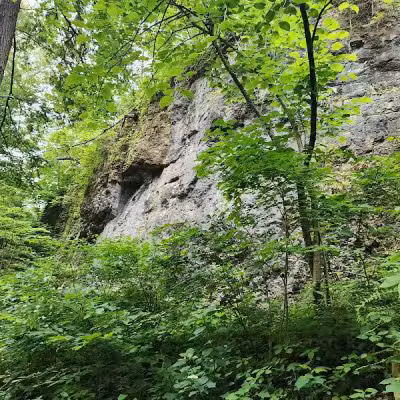 Highlands Nature Sanctuary - Bainbridge, OH