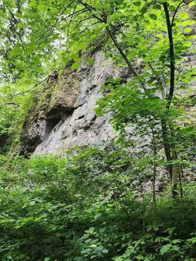 Highlands Nature Sanctuary - Bainbridge, OH
