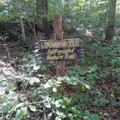 Highlands Nature Sanctuary - Bainbridge, OH