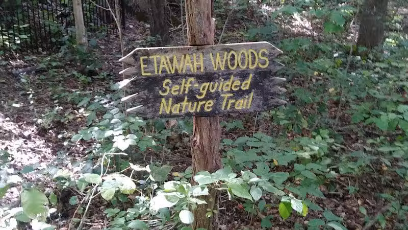 Highlands Nature Sanctuary - Bainbridge, OH