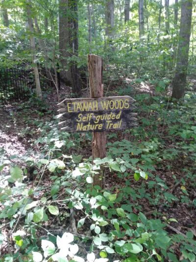 Highlands Nature Sanctuary - Bainbridge, OH