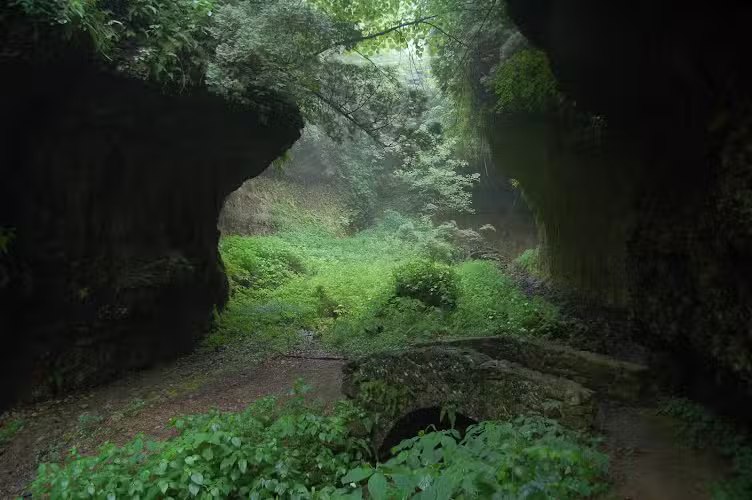 Highlands Nature Sanctuary - Bainbridge, OH