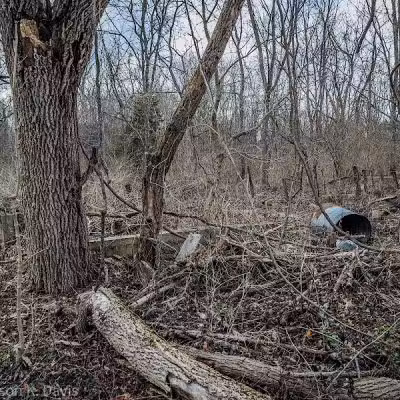 Kamelands Trailhead - Bainbridge, OH