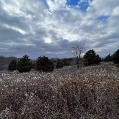 Kamelands Trailhead - Bainbridge, OH