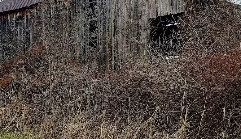 Kamelands Trailhead - Bainbridge, OH
