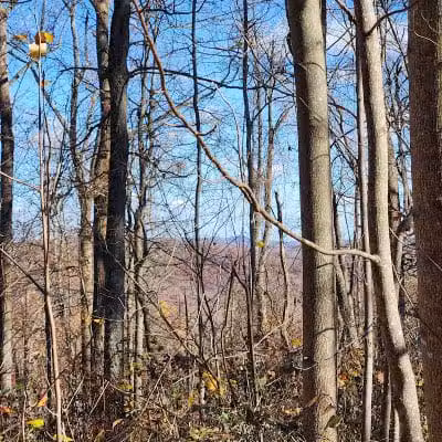 L B Camping - Bainbridge, OH