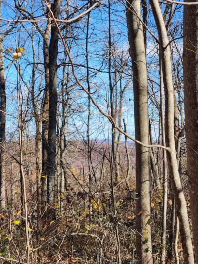 L B Camping - Bainbridge, OH