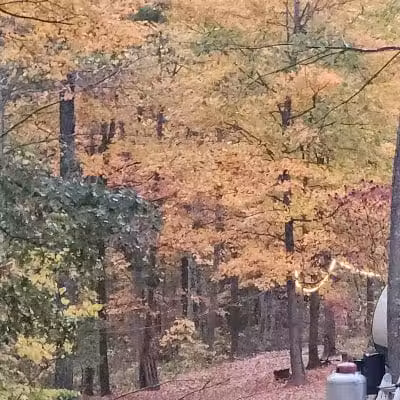 L B Camping - Bainbridge, OH