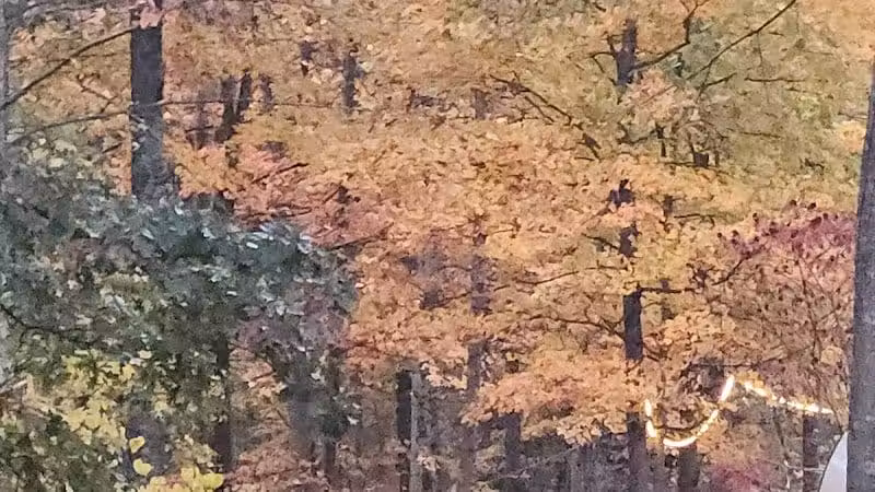 L B Camping - Bainbridge, OH