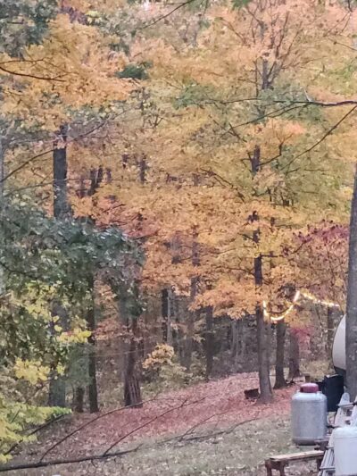 L B Camping - Bainbridge, OH