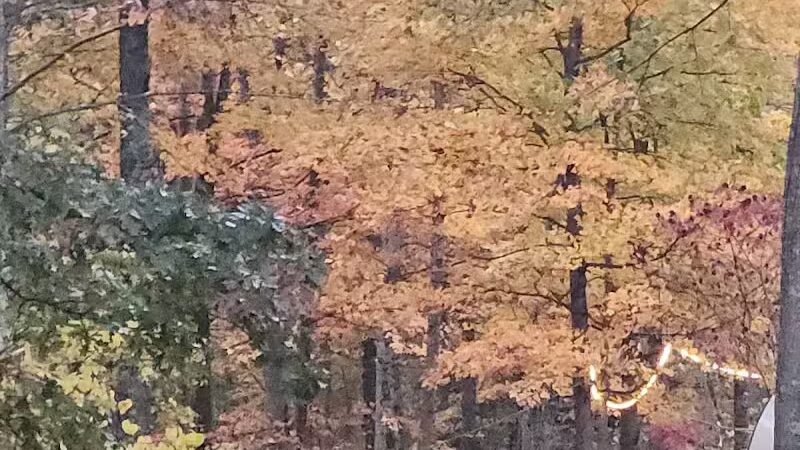 L B Camping - Bainbridge, OH