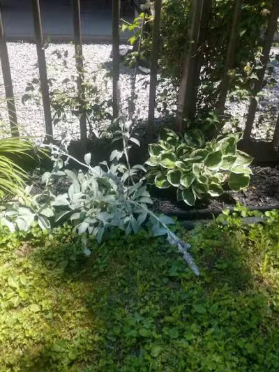 L B Camping - Bainbridge, OH