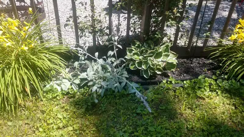 L B Camping - Bainbridge, OH