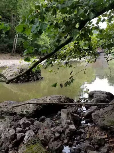 Paint Creek Lake Outflow - Bainbridge, OH
