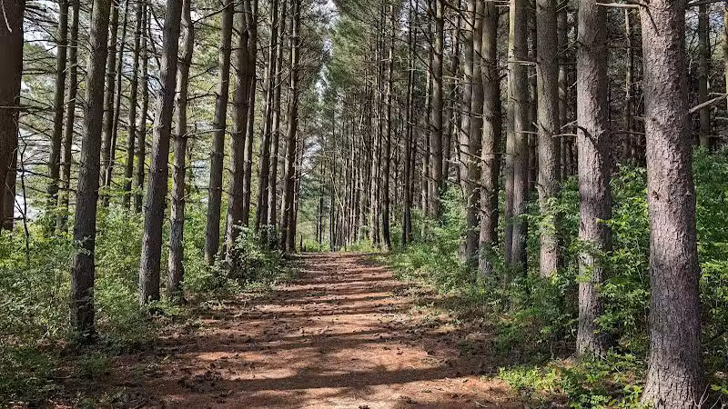 Paint Creek State Park - Bainbridge, OH