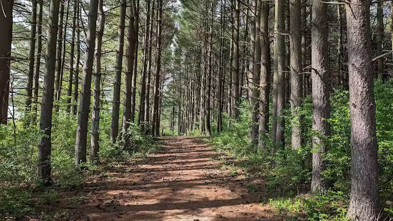 Paint Creek State Park - Bainbridge, OH