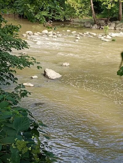 Paint Creek State Park - Bainbridge, OH
