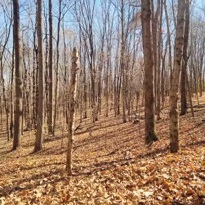 Paint Creek State Park - Bainbridge, OH