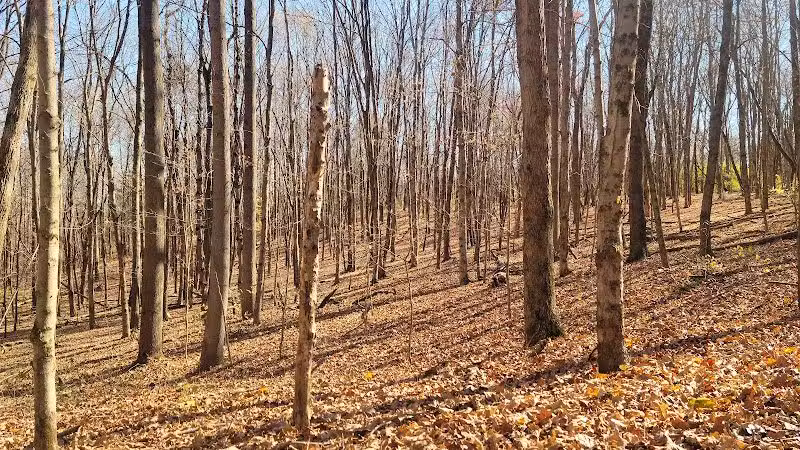 Paint Creek State Park - Bainbridge, OH