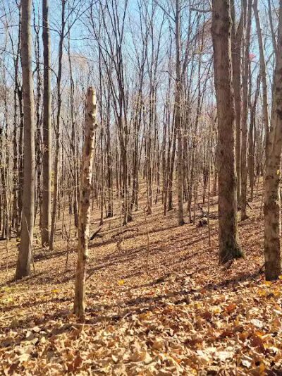 Paint Creek State Park - Bainbridge, OH