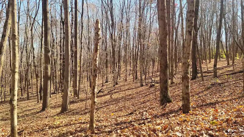Paint Creek State Park - Bainbridge, OH