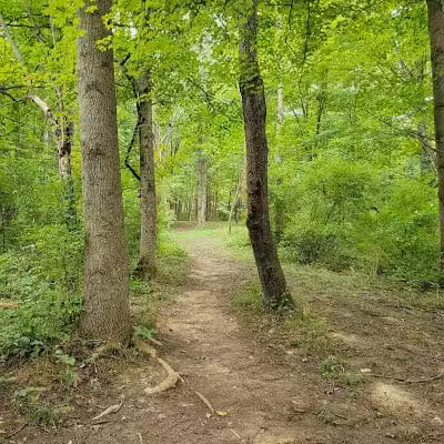 Paint Creek State Park - Bainbridge, OH