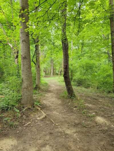 Paint Creek State Park - Bainbridge, OH